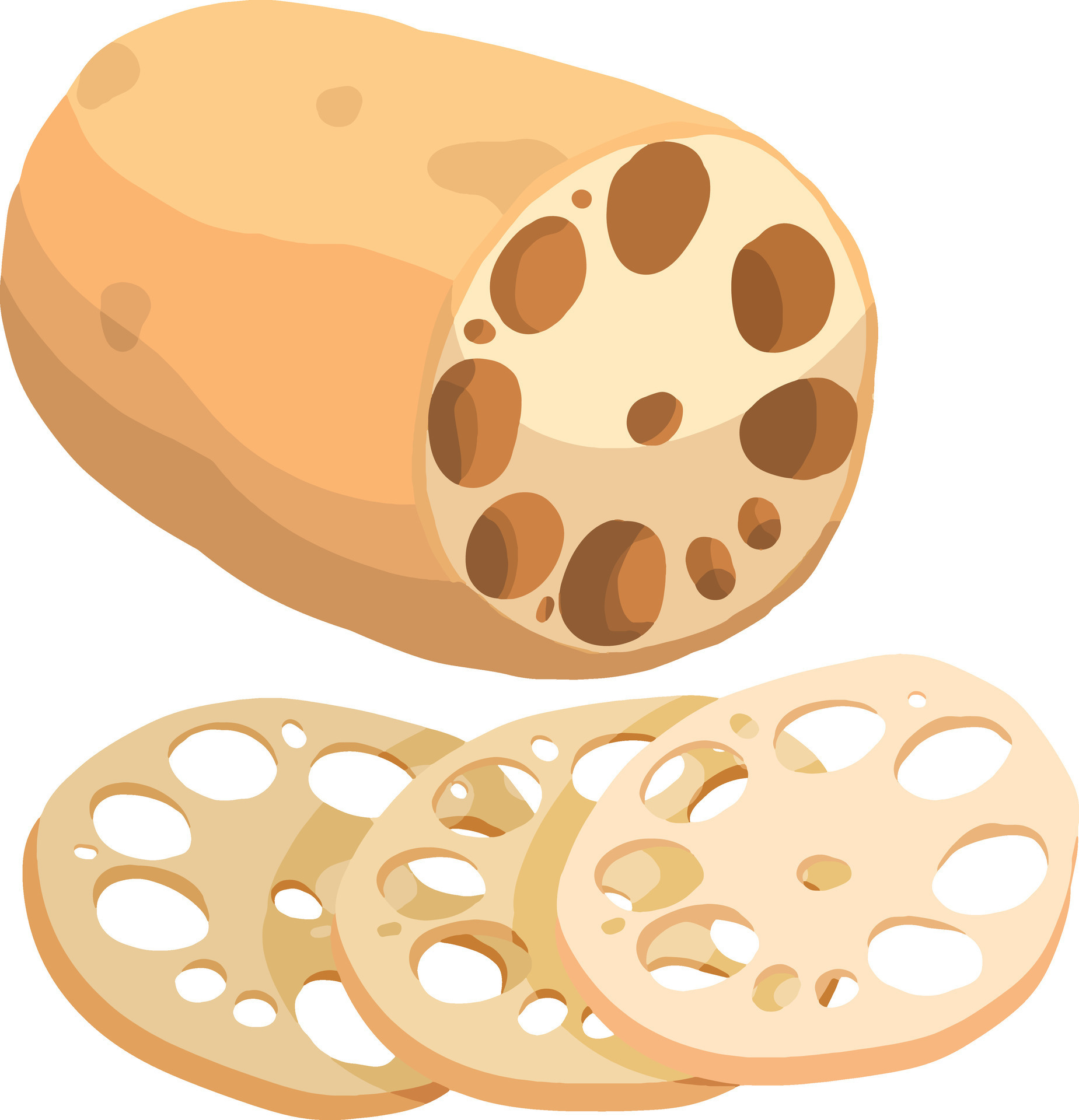 loto raíz. asiático vegetal ilustración vector. 30346797 Vector en Vecteezy