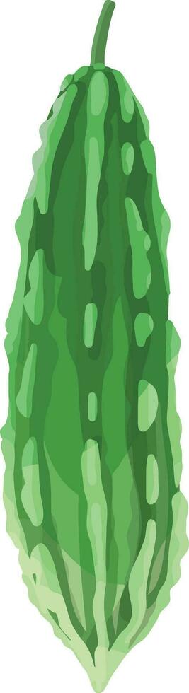 Bitter Melon. Bitter Gourd. Asian Vegetable Illustration Vector. vector