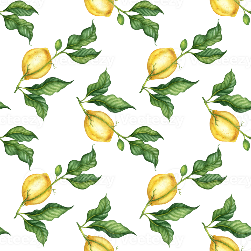 Lemon pattern and green leaves watercolor png