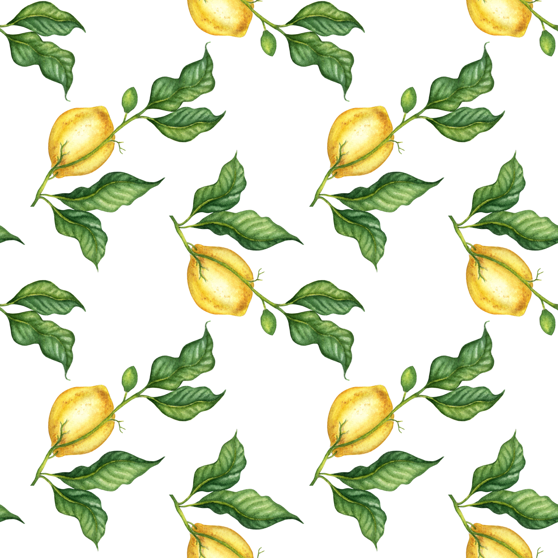 lemon-pattern-and-green-leaves-watercolor-30346857-png