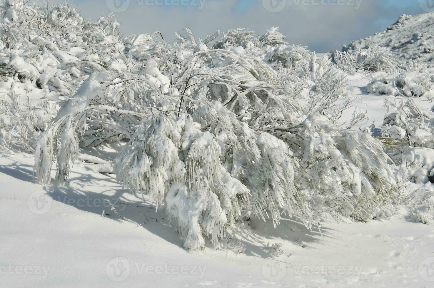 Winter landscape mountains with snow photo