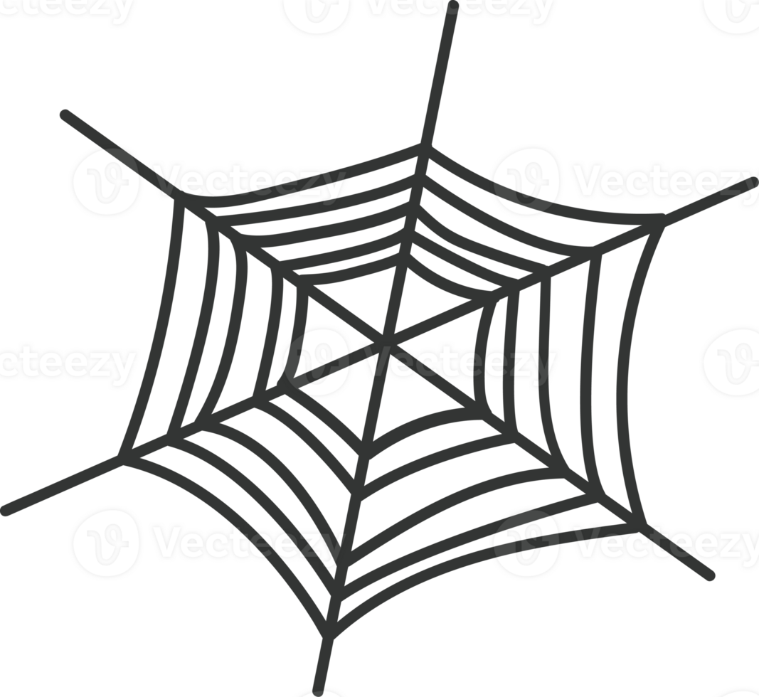 a cute cobweb png
