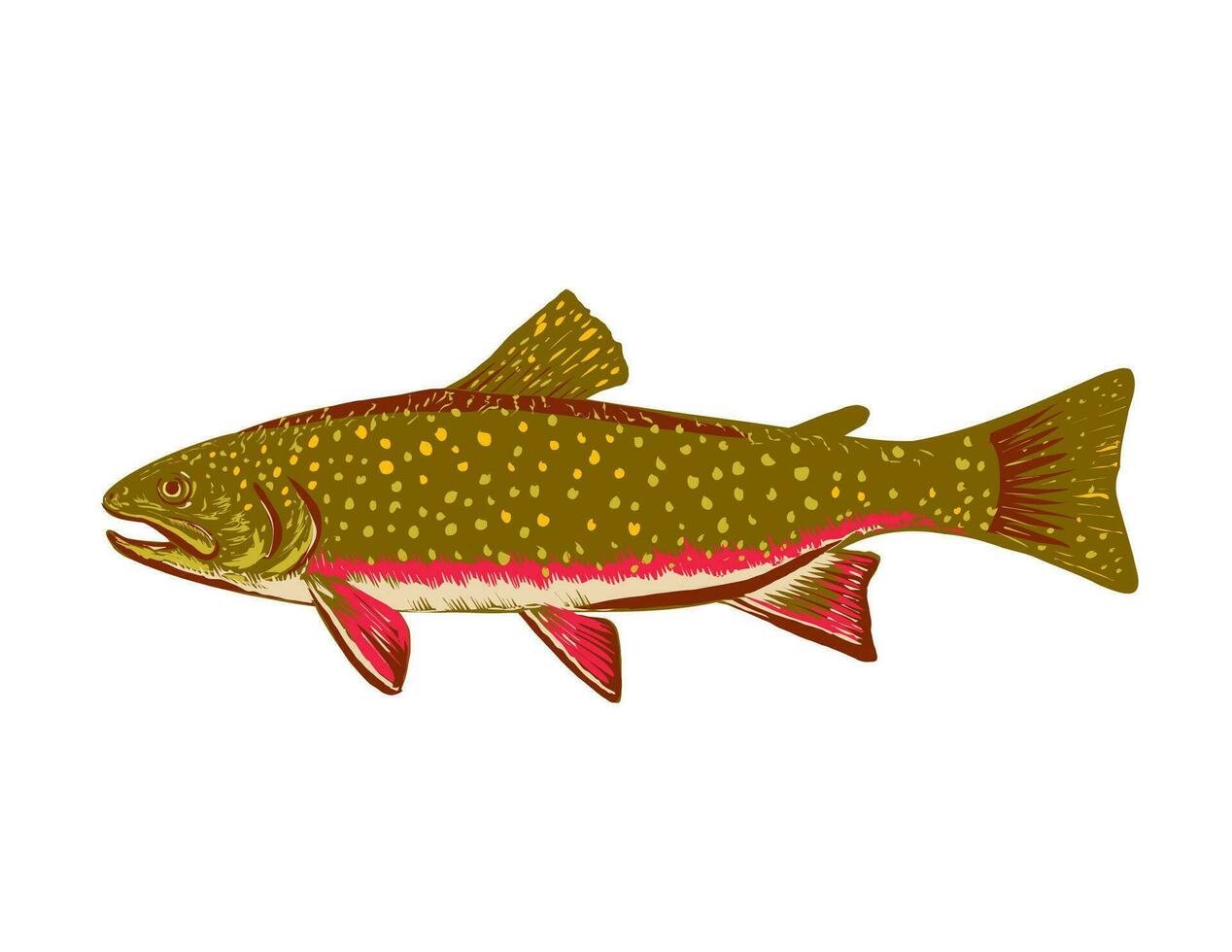 Brook Trout or Salvelinus Fontinalis Side View WPA Art vector