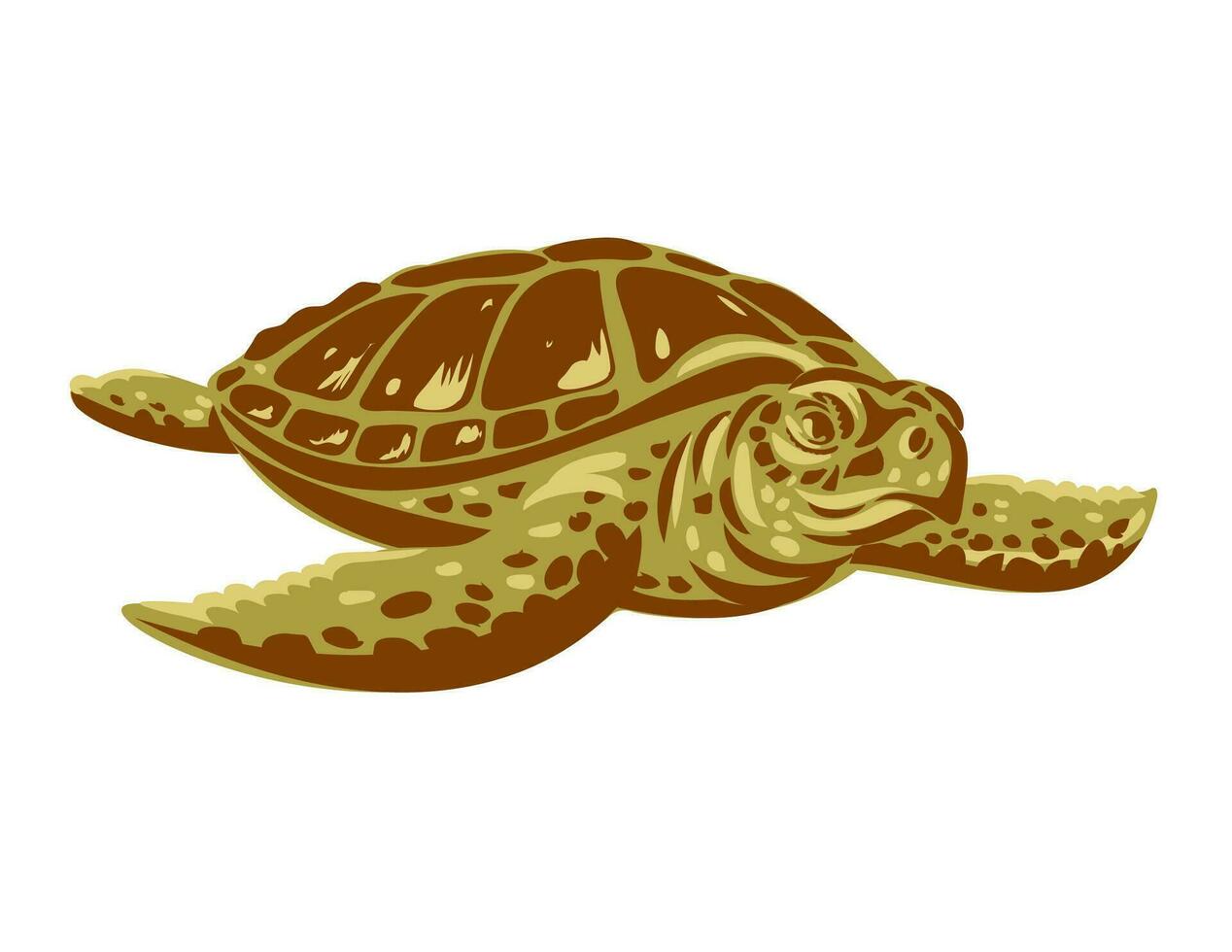 Kemp's Ridley Sea Turtle or Atlantic Ridley Sea Turtle Front View WPA Art vector