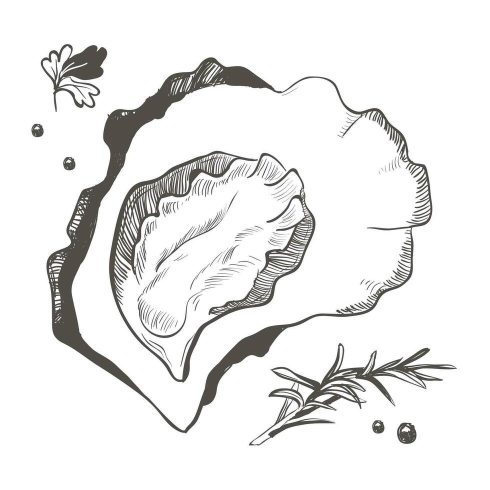 Mollusc with spices and spices. Black and white illustration of oyster isolated on a white background vector