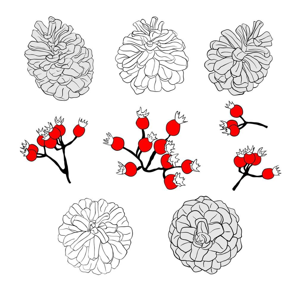 Pine cones and rosehip berries isolated on a white background. Vector graphics of black and white cones and red berries. A set of elements for a Christmas wreath or frame.