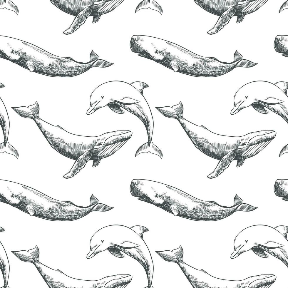 Vector seamless pattern with whales and sperm whales. Marine animals in engraving technique, freehand drawing with ink. White background. Can be used for wallpaper, textile, fabric, wrapping paper.