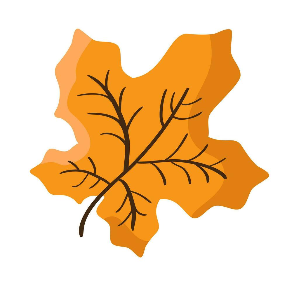 Orange autumn maple leaf isolated on white background. Simple cartoon flat style vector. Hand drawn fall element for design greeting card. Thanksgiving Day vector