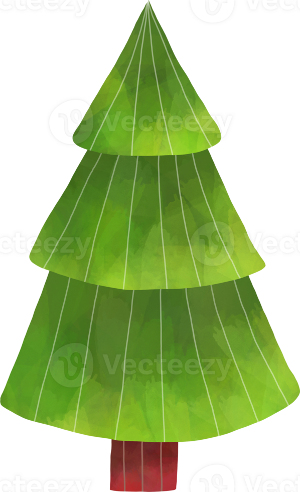Watercolor Pine tree png
