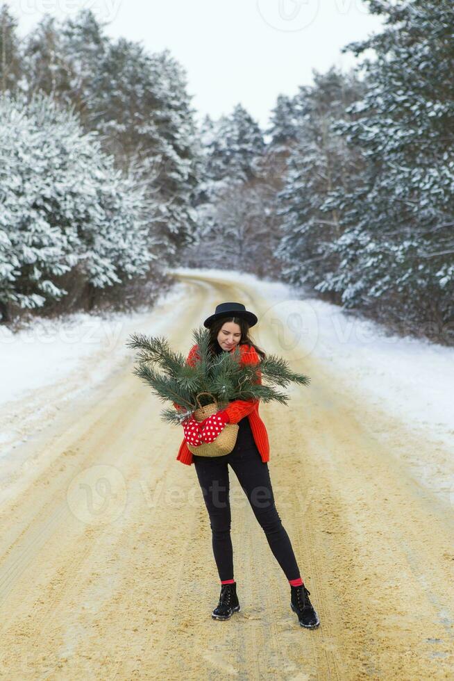 A girl in a red sweater and hat, in red mittens holds a basket with pine branches in her hands stands in the middle of a snow-covered road in a forest with pine branches. photo