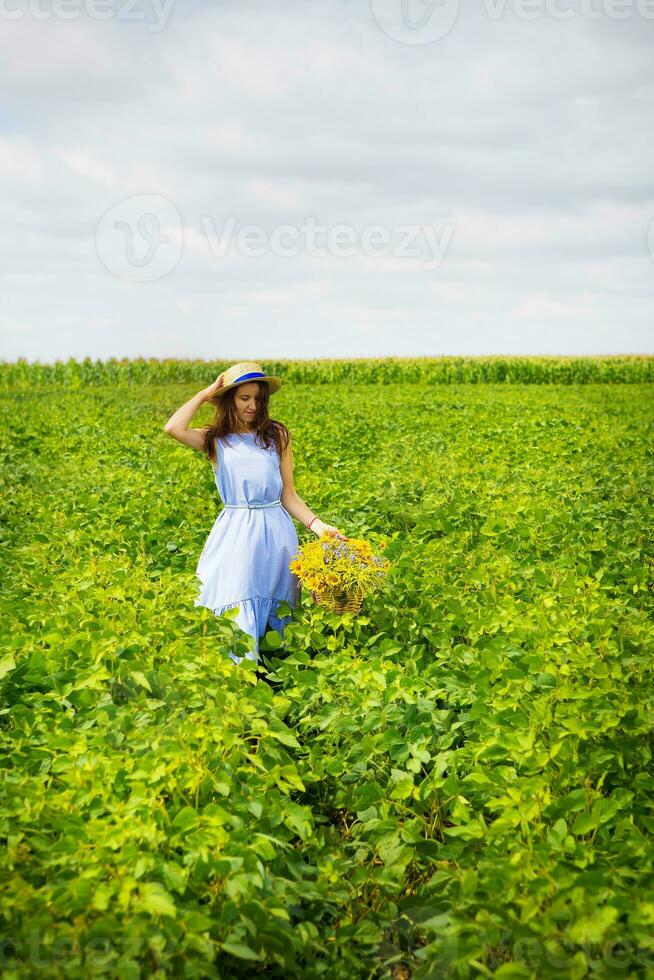 Cute girl in a hat stands in a green field with a bouquet of wild flowers photo
