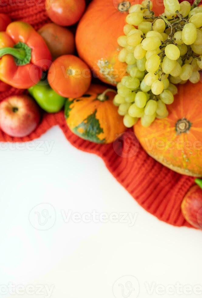 Thanksgiving Day. Autumn harvest pear, apples, pumpkin, pepper, tomato on a white background and red cloth. photo