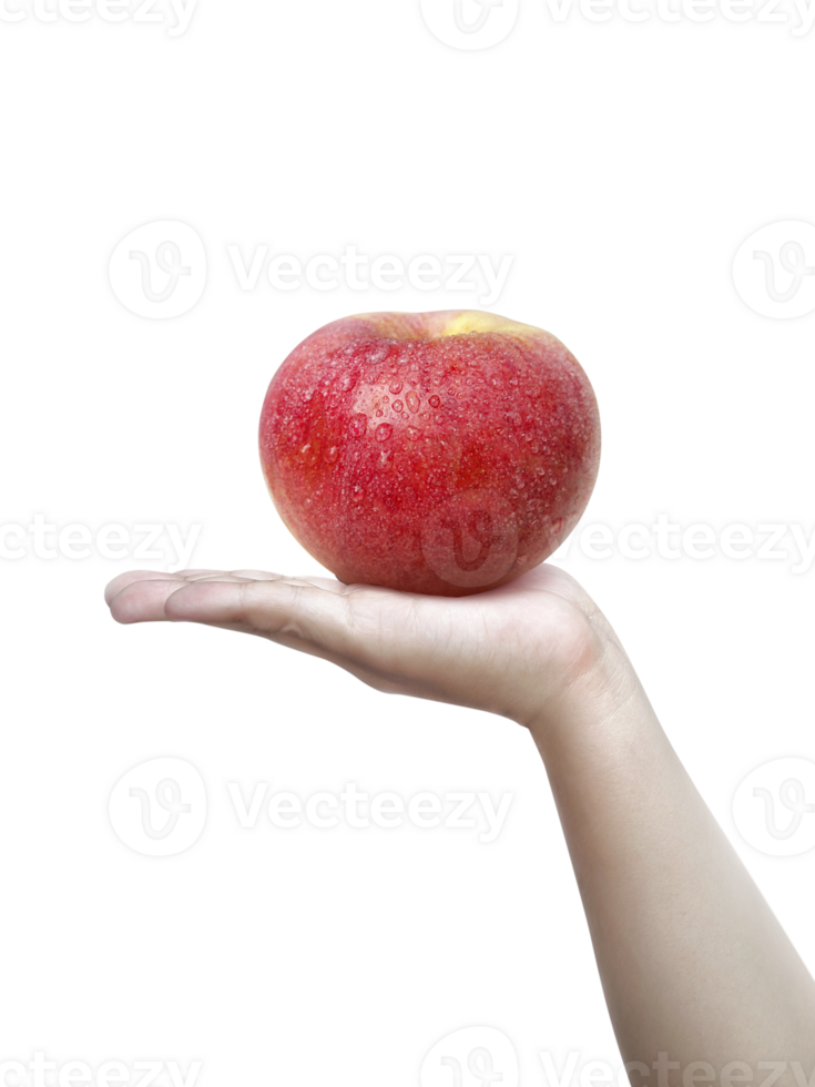 Human hand holding a Apple, transparent background png