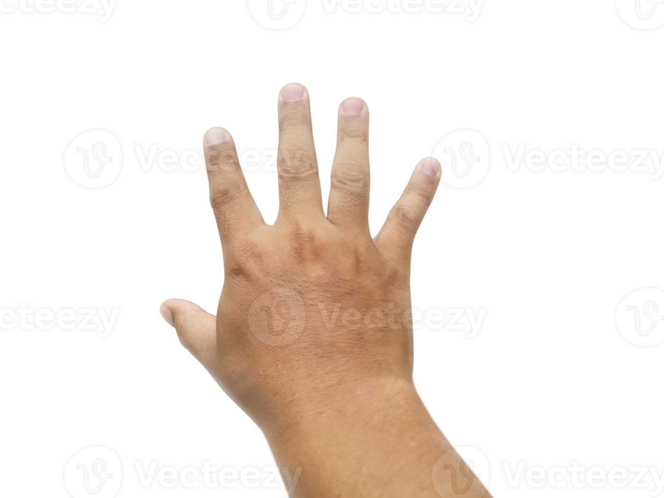 Man hand, transparent background png