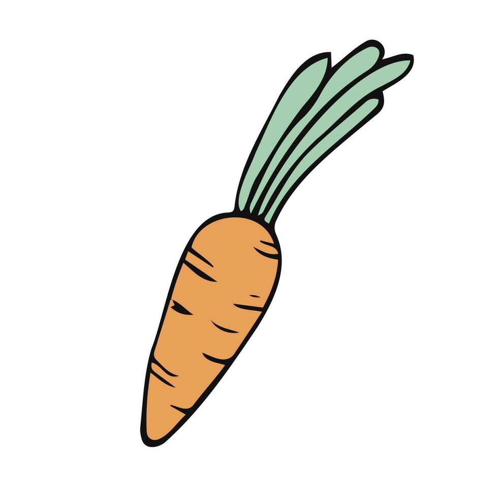 garabatear plano clipart dulce zanahoria. fácil a cambio color. vector
