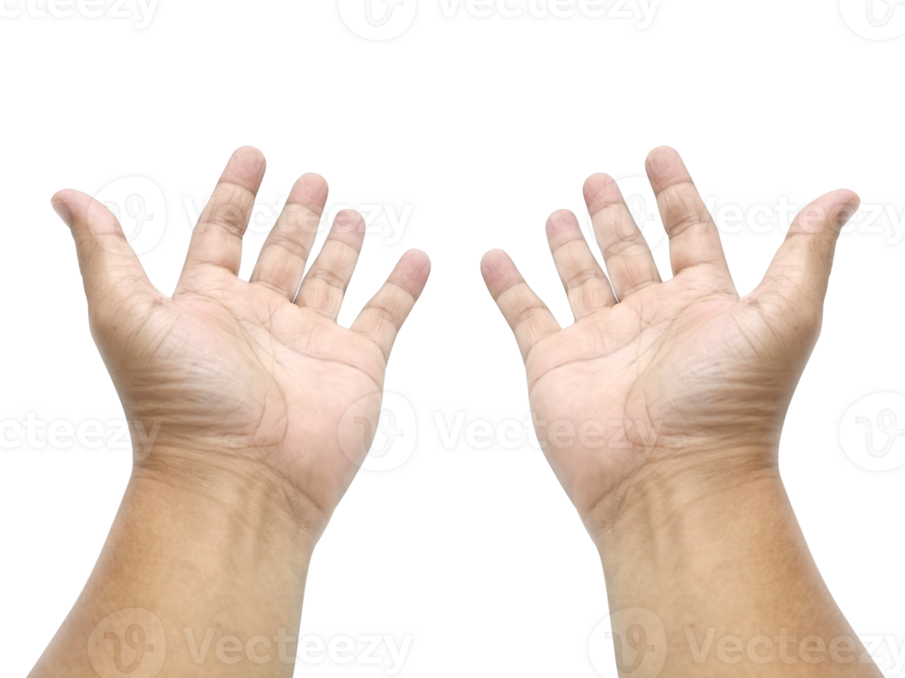 Man hand, transparent background png