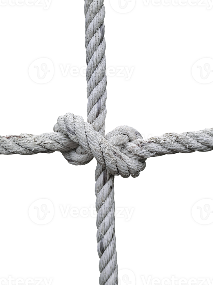 Rope knot, transparent background png