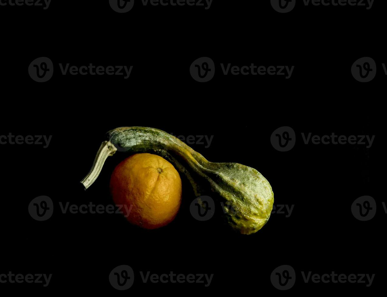 Decorative pumpkins in different shapes and colors photo