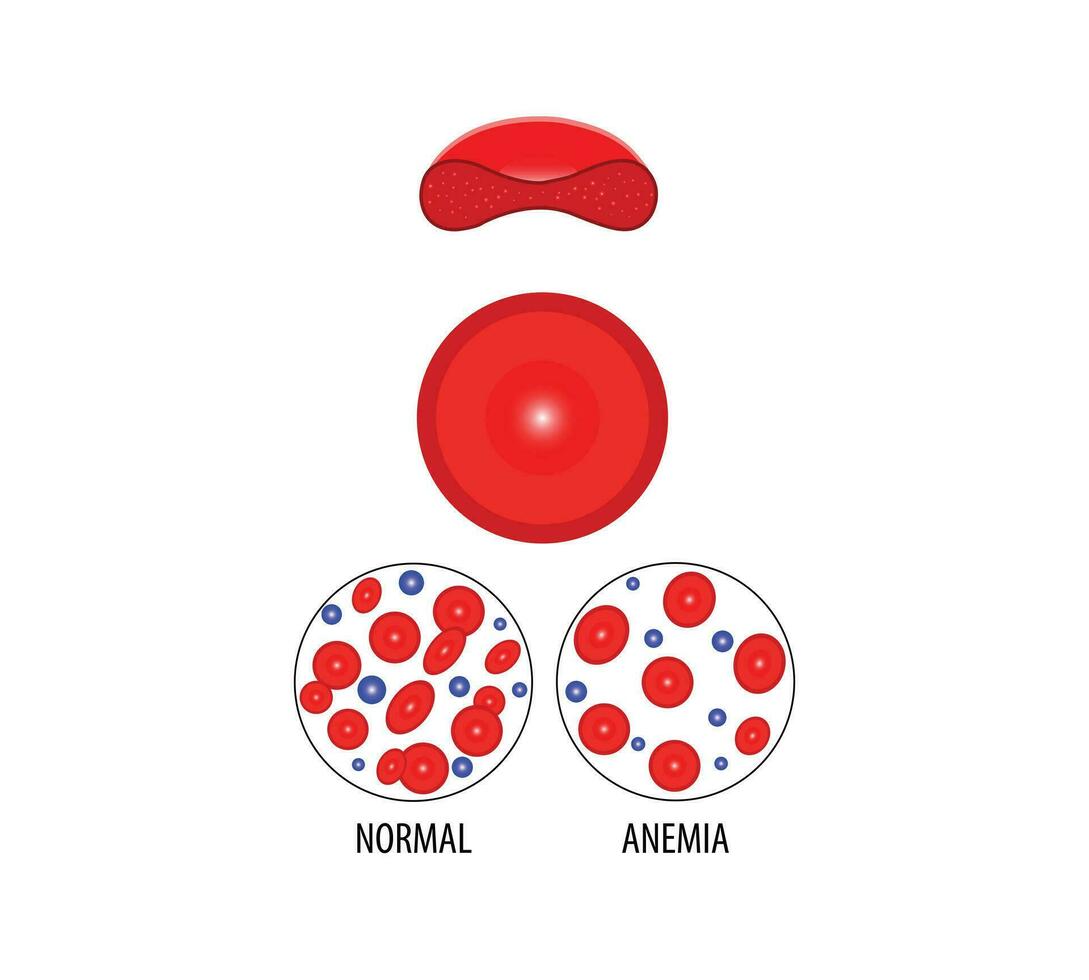 Red blood cells flat design  on vignette background vector