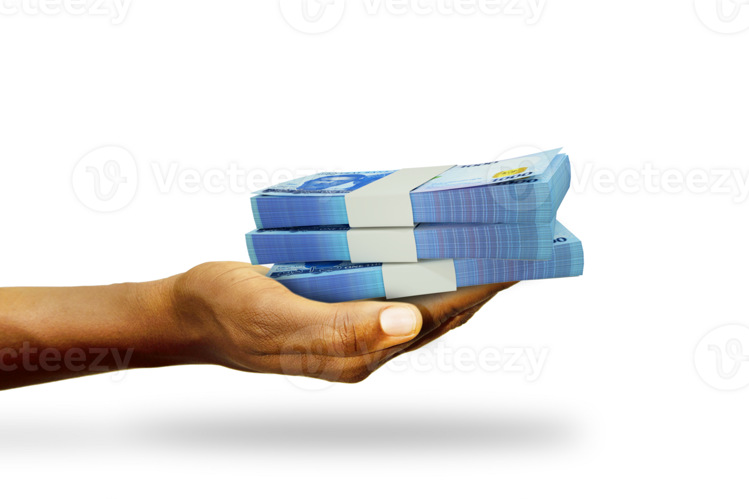 Hand Holding 3D rendering of stacks of Nigerian Naira notes isolated on transparent background png