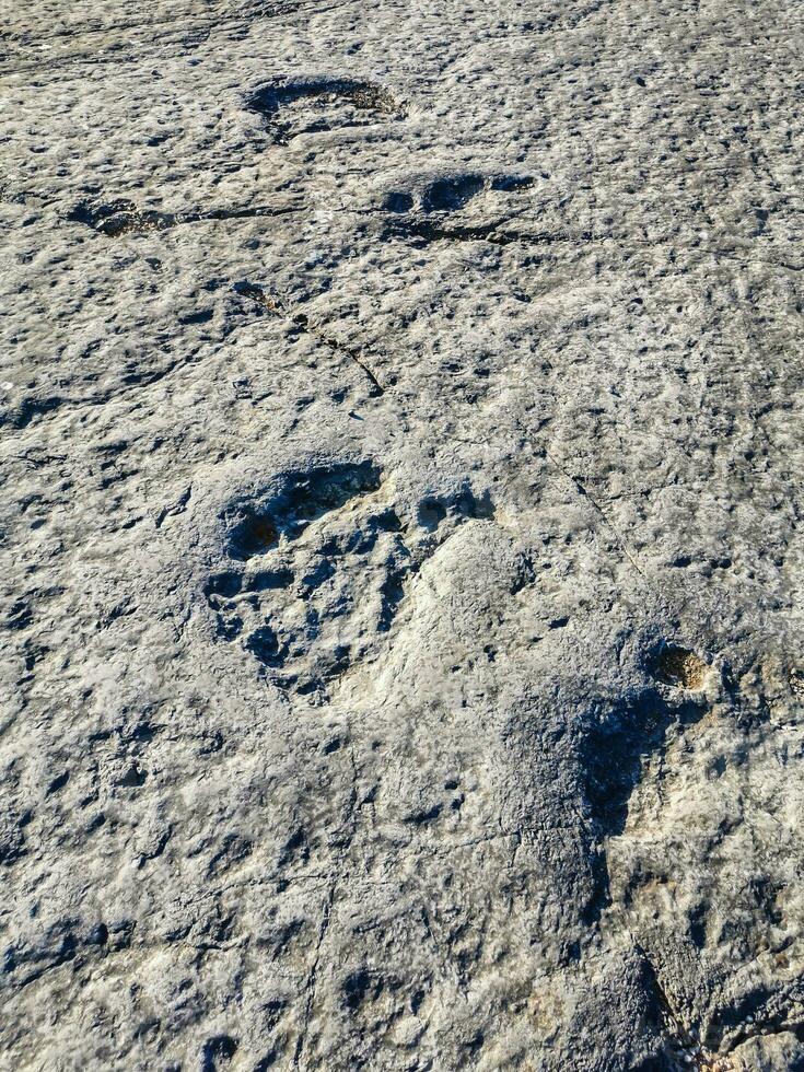 Natural monument of fossil dinosaur footprints in Serra D 'Aire in Pedreira do Galinha, in Portugal. A pedagogical circuit was created at the site, where visitors can see and touch the footprints photo