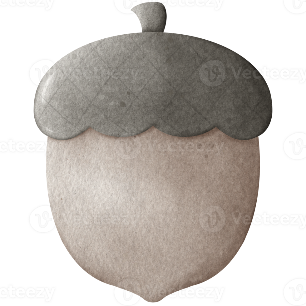 Cute brown acorn elements png