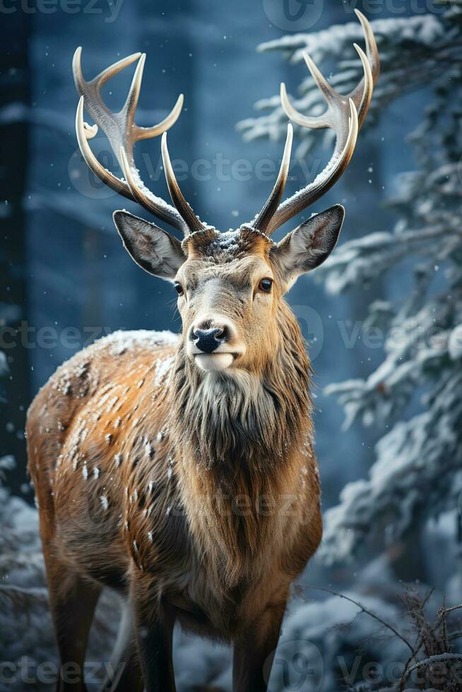 deer on snow nature background, AI Generated photo