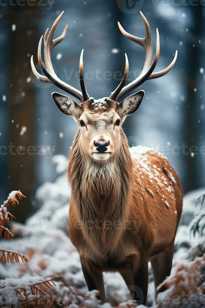 deer on snow nature background, AI Generated photo