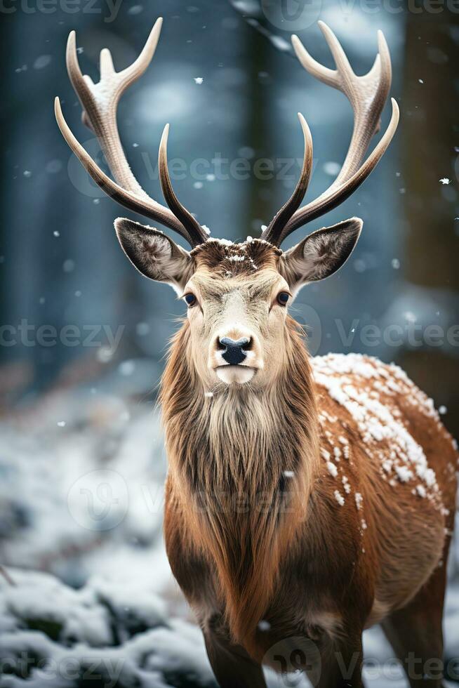 ciervo en nieve naturaleza fondo, ai generado foto