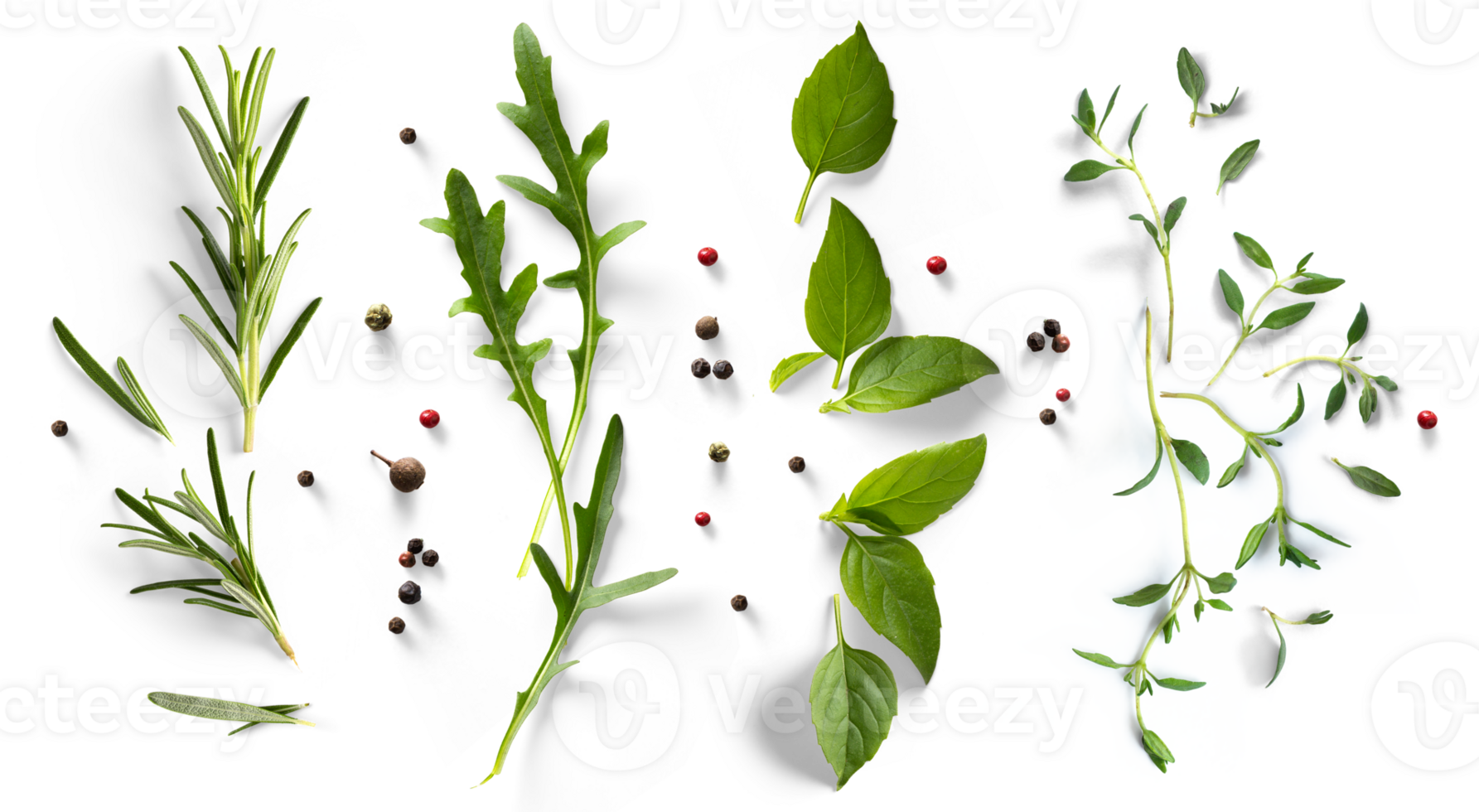 fresh mediterranean herb and spices with real transparent shadow isolated on transparent background. PNG Food background design element