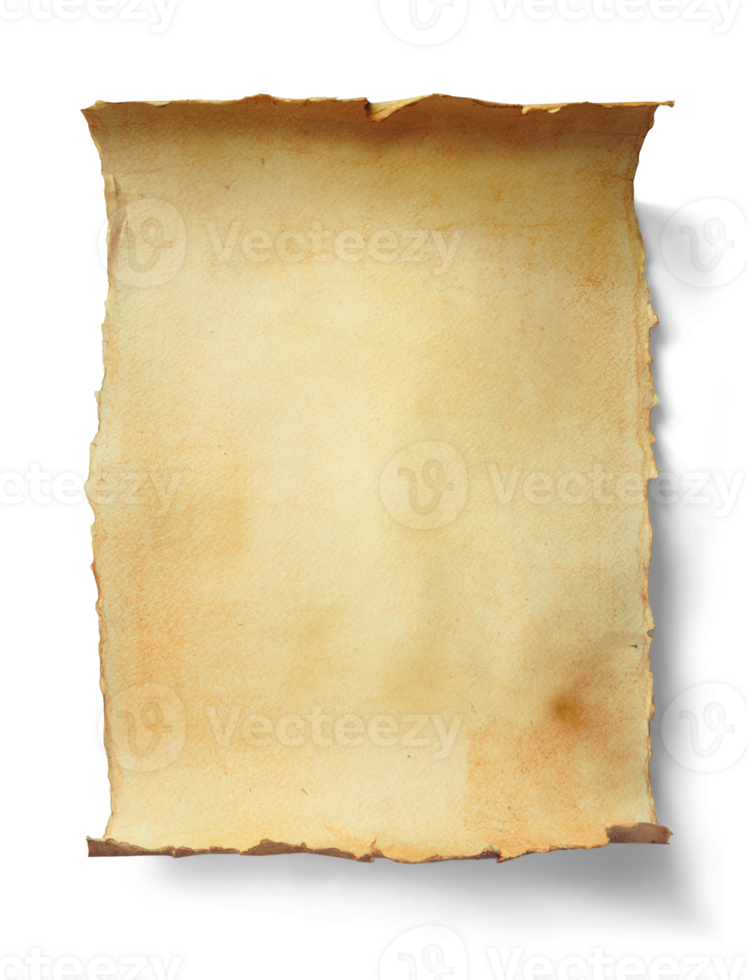 medieval old parchment Scroll, PNG isolated paper background with real transparent shadow