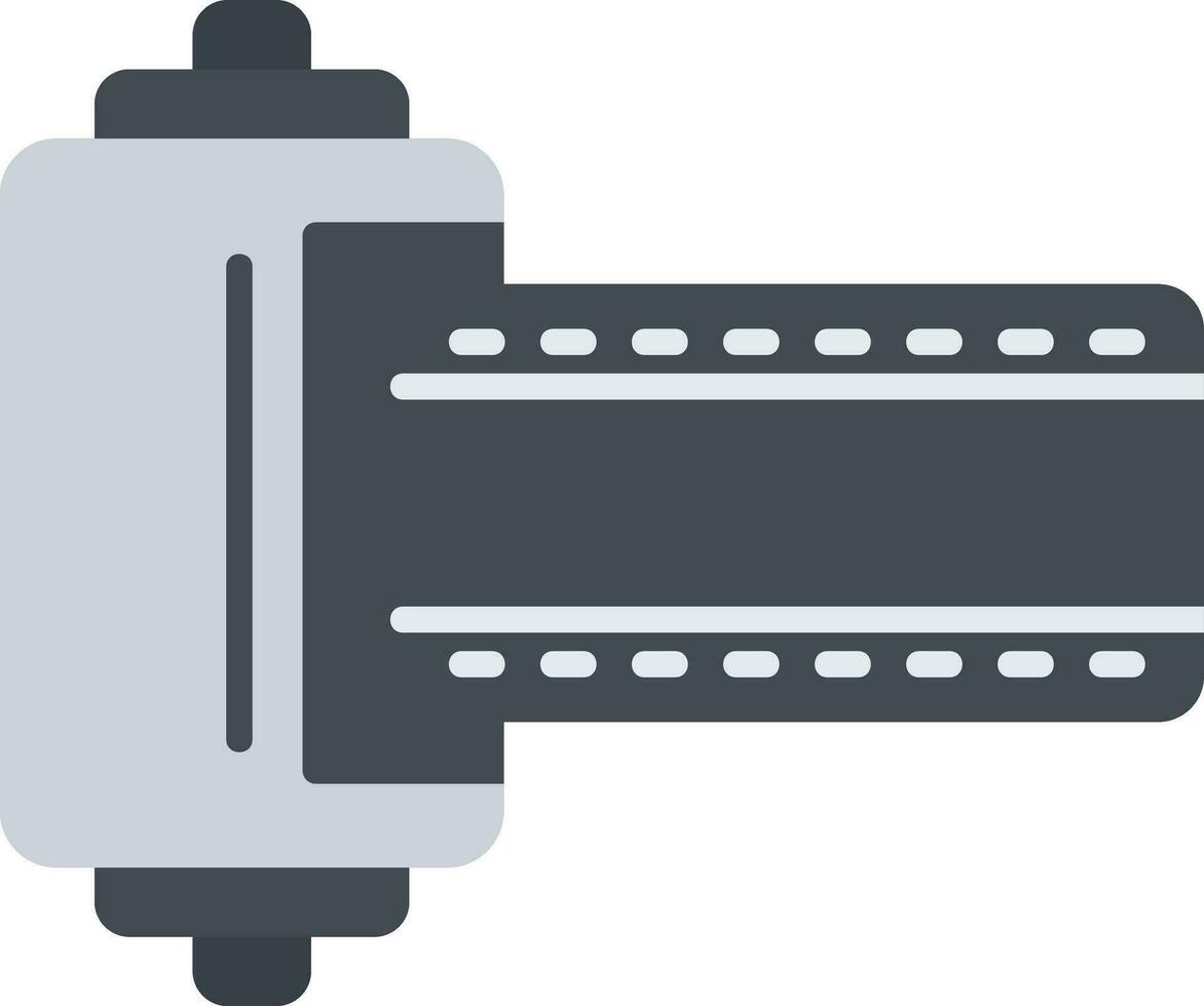 Camera Roll Vector Icon