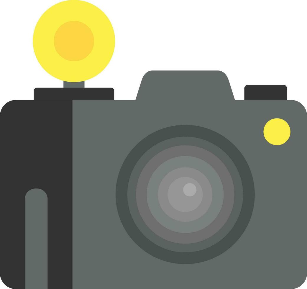 Flash Camera Vector Icon