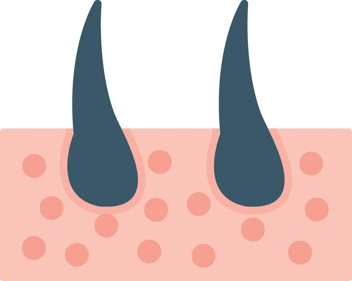 Epidermis Vector Icon