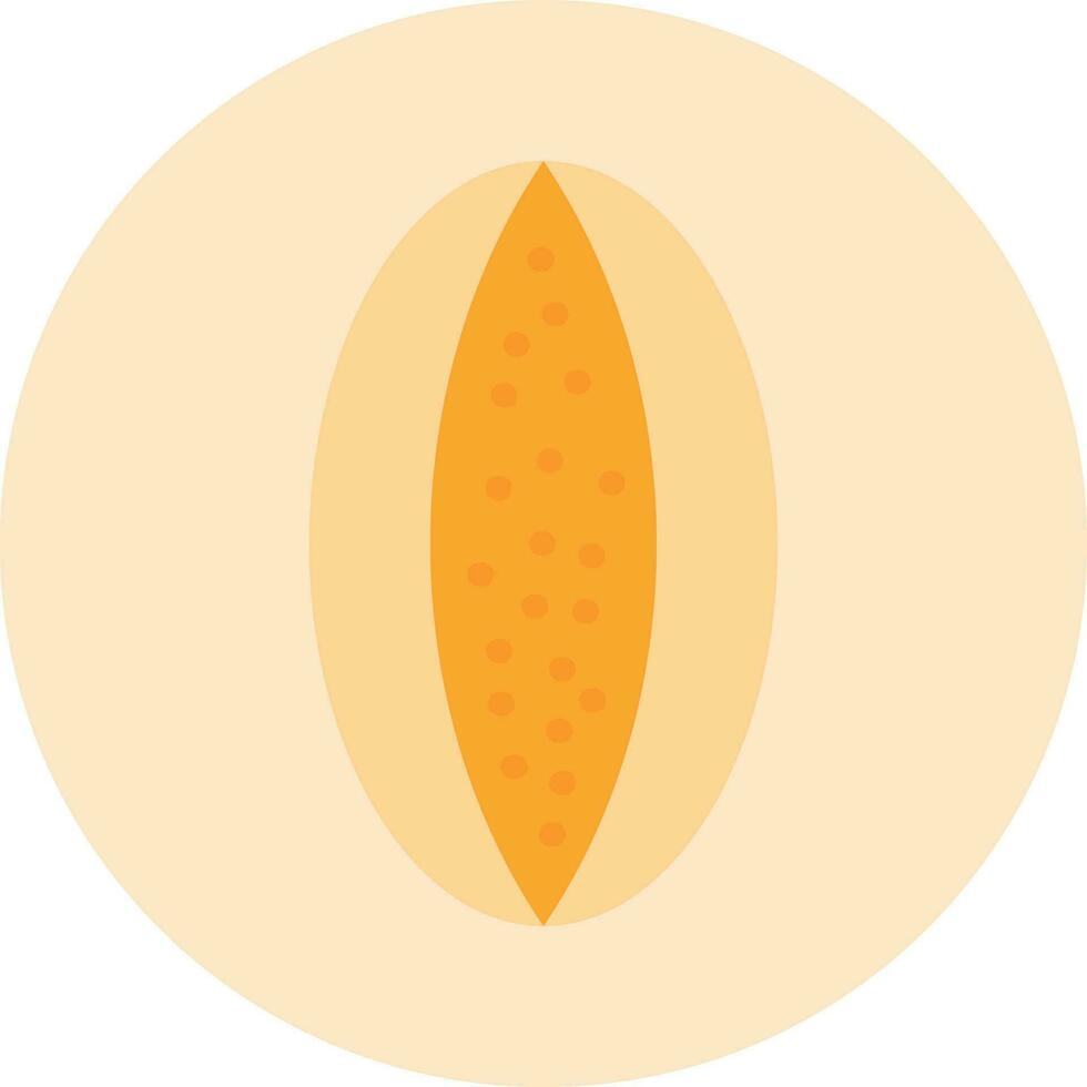 Rockmelon Vector Icon