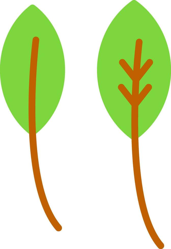 Leaf Vector Icon Design