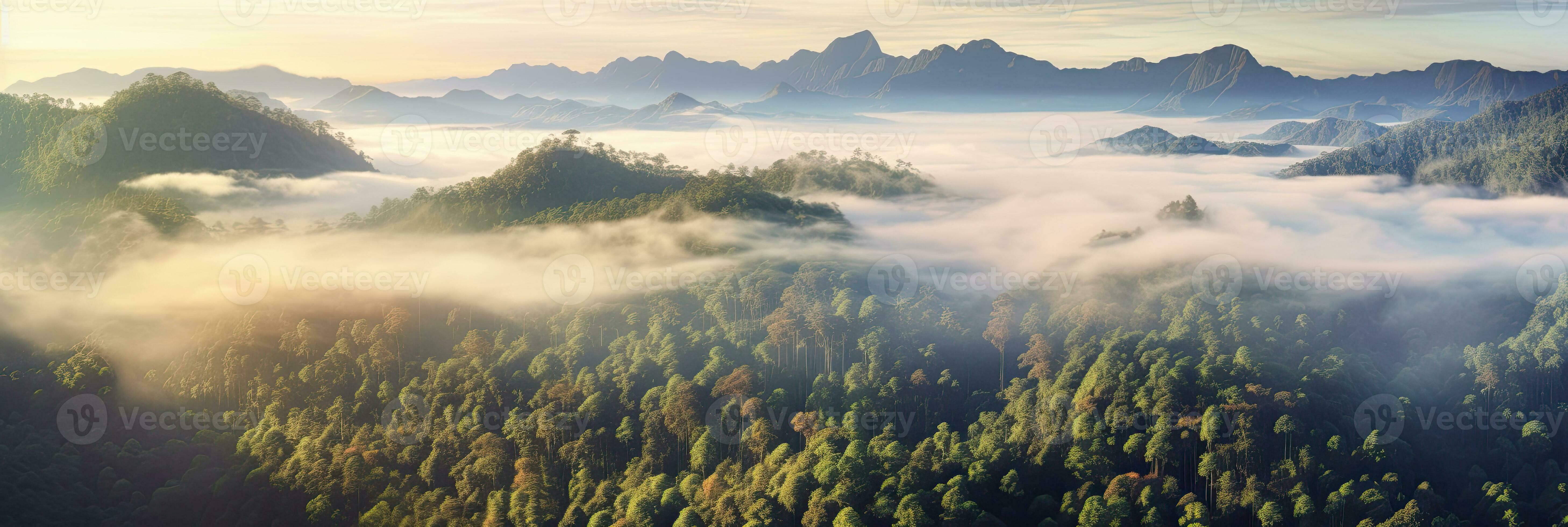 Aerial view of Foggy landscape in the jungle. Fog and cloud mountain tropic  valley landscape. Generative Ai 30389287 Stock Photo at Vecteezy