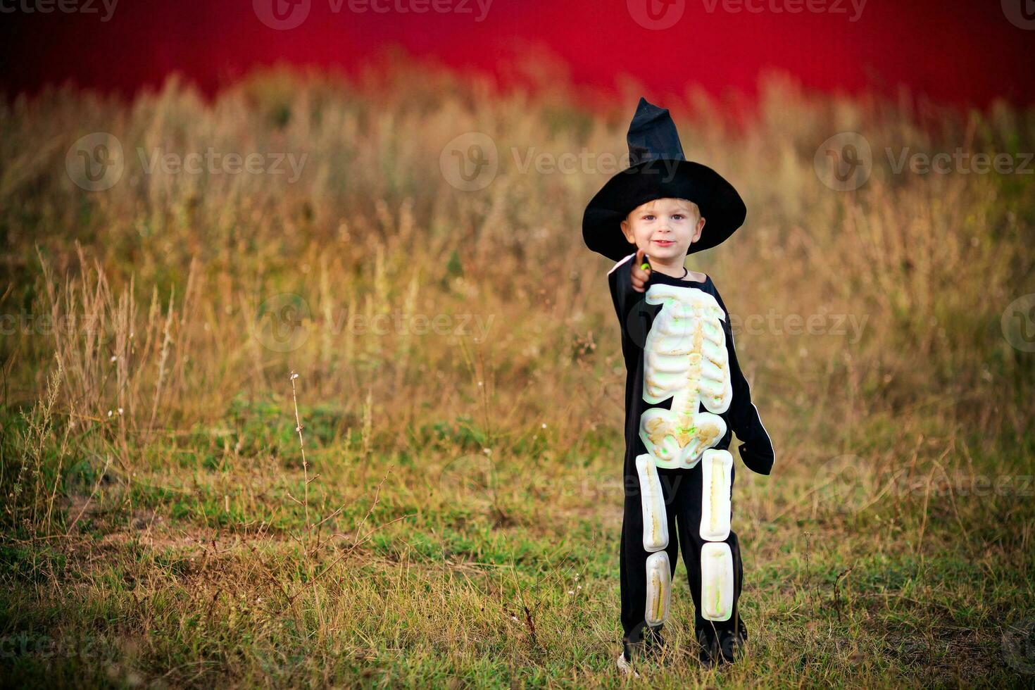 Little boy wearing a skeleton costume and a black hat the background on the field. Halloween holiday. photo