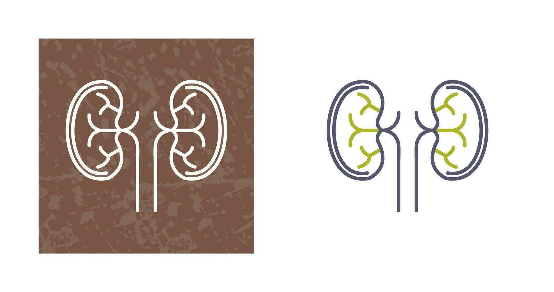 Kidney Vector Icon