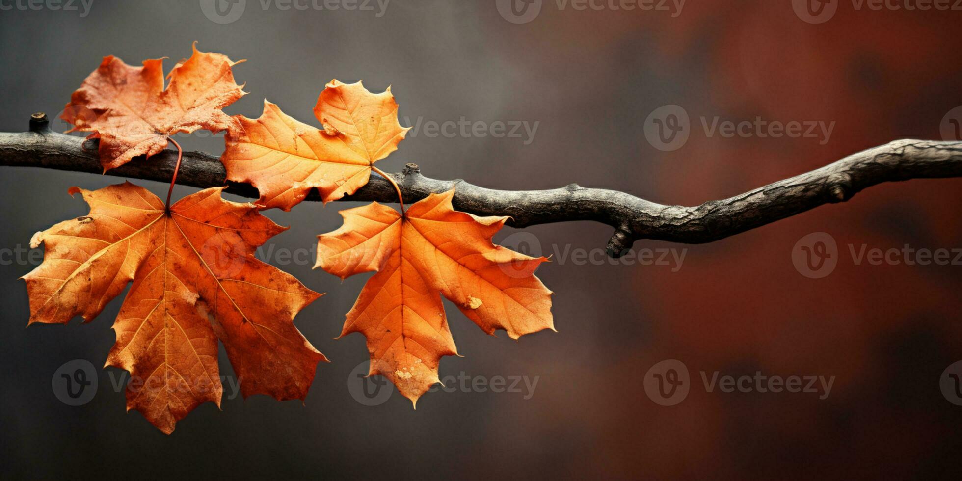 de cerca vistoso otoño brillante otoño hoja, hermosa sereno escenario, Copiar espacio para saludo tarjeta, ai generativo foto