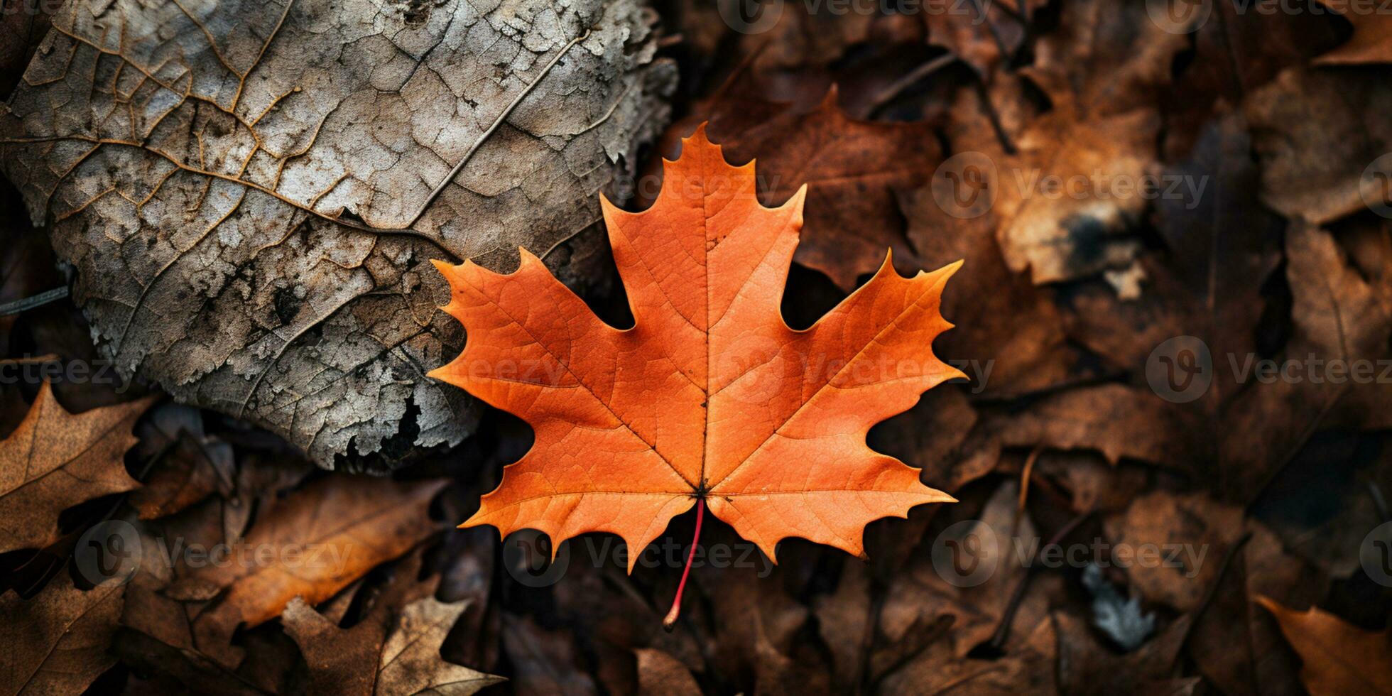 vistoso otoño hojas fondo, multicolor arce hojas antecedentes. alto calidad resolución imagen, ai generativo foto