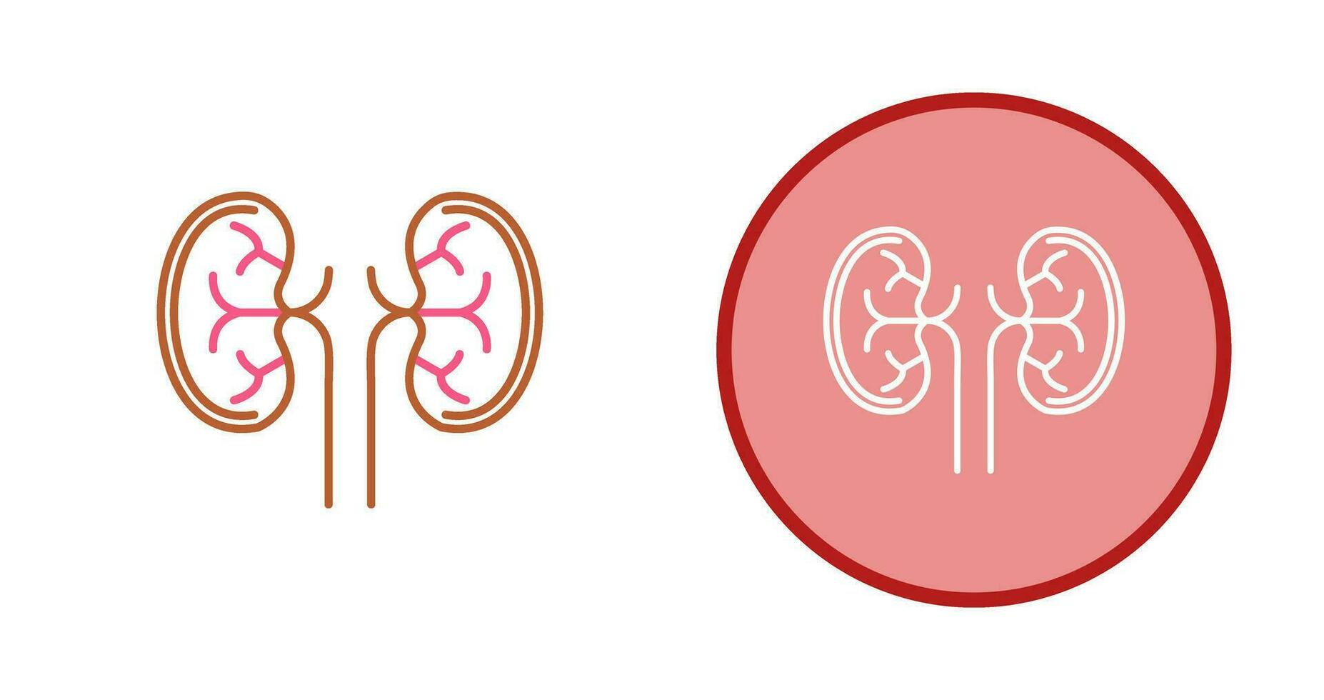 Kidney Vector Icon