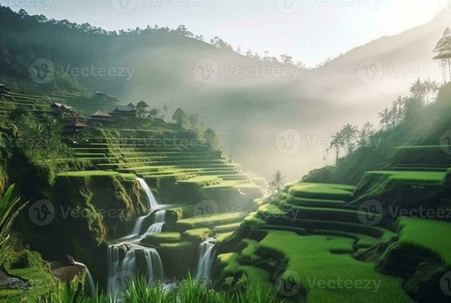 view of rice field in sunny morning. generative ai photo