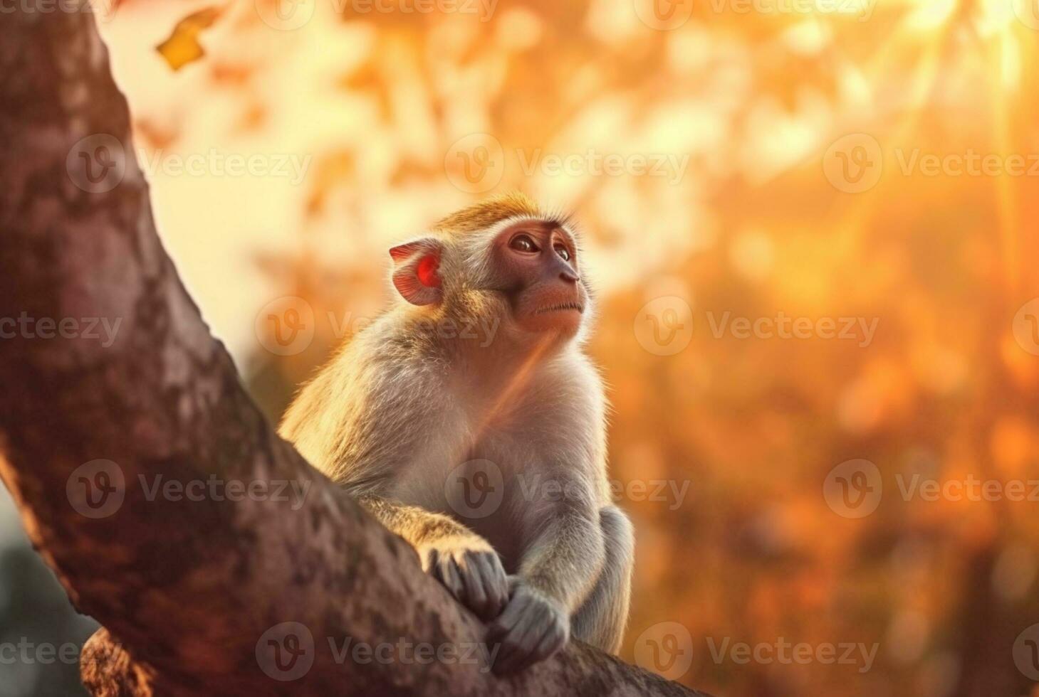 Monkey on a tree with blurred background and sunlight. generative ai photo