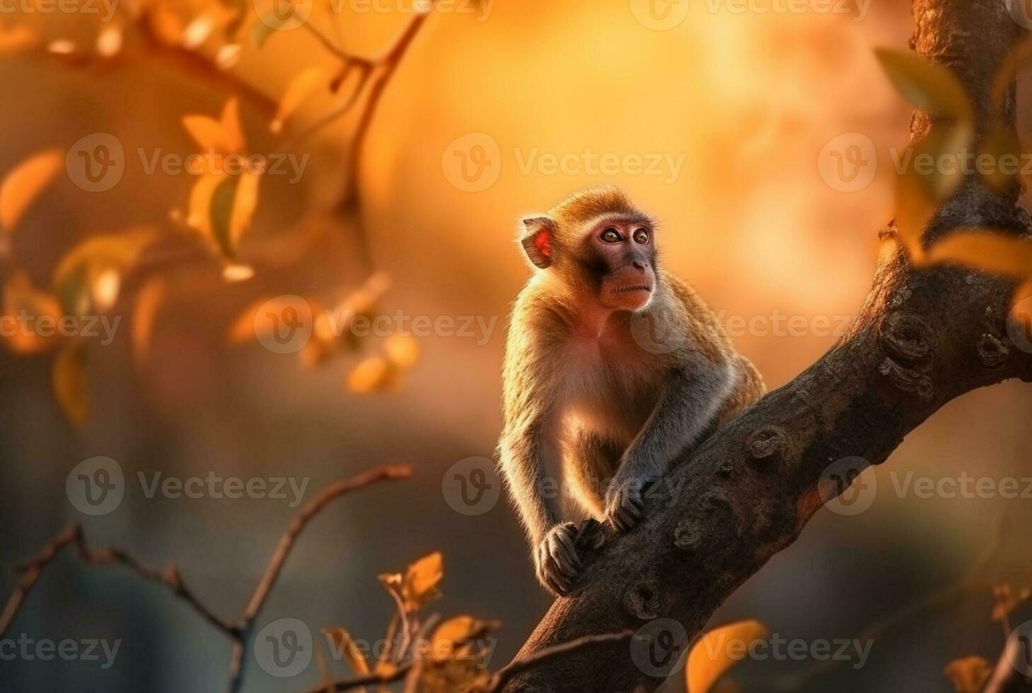 Monkey on a tree with blurred background and sunlight. generative ai photo