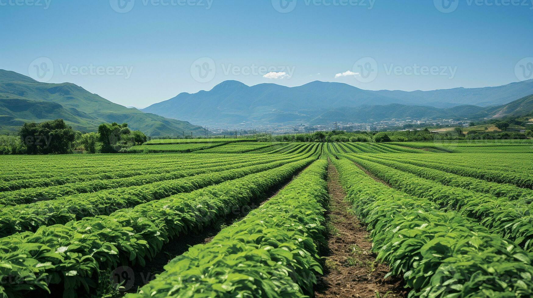 capturar el belleza de vasto verde granja campos en lleno floración, ai generativo foto