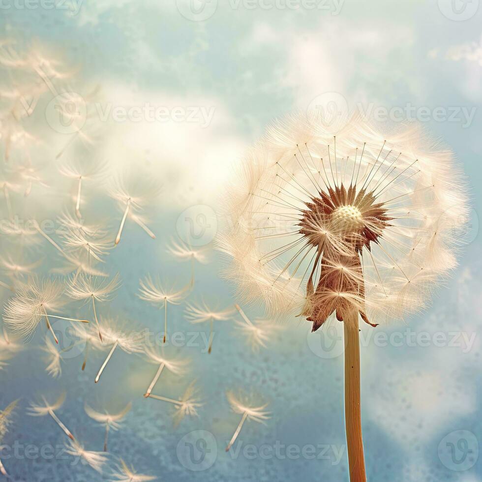 dandelion on a background of the blue sky and the sun. AI Generated. photo