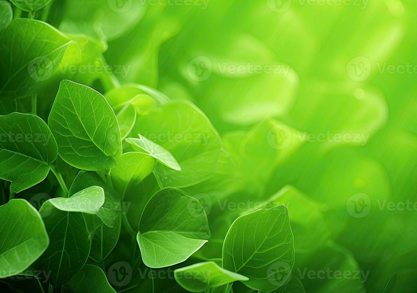 verde hojas antecedentes con luz de sol y Bokeh. naturaleza antecedentes. ai generado. foto