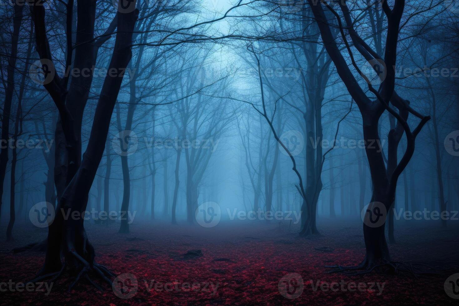 Mysterious dark forest in a foggy night. Halloween background. . photo