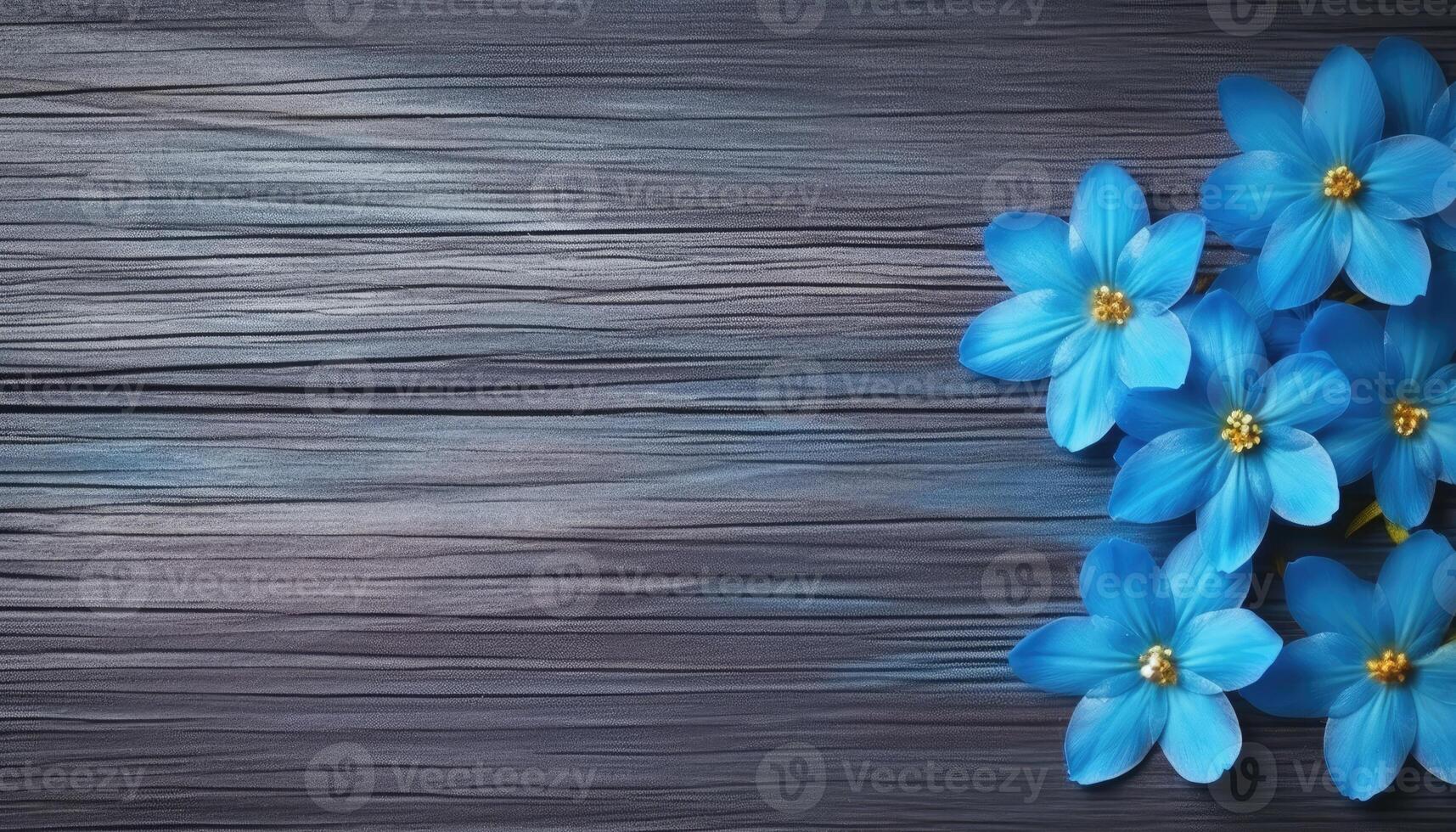 Blue crocus flowers on a wooden background. Top view with copy space. . photo